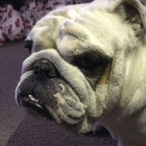 Meet your Posher, Eric